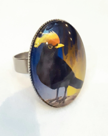 Cabochon ring bird YELLOW-CRESTED BLACKBIRD