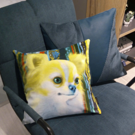 Yellow-aqua velvet cushion cover Dog BLONDIE