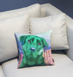 Dog throw pillow ESMERALDA green-pink velvet pillow cas