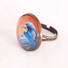 Anillo cabujón pájaro FINCHADA AZUL