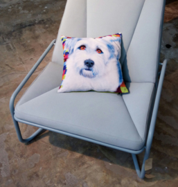 Housse coussin velours Bleue-blanche Chien FRANKIE