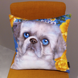 Housse Coussin velours Grise Chien SHIZI