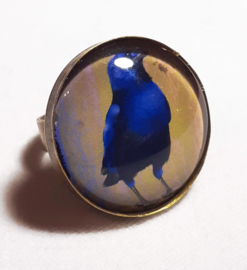 Cabochon ring bird BLUE-BELLIED CROW