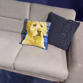 Yellow-blue velvet cushion cover Dog GOLDILOCKS