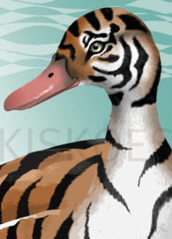 TIGER DUCK XL 