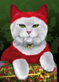 SANTA CAT