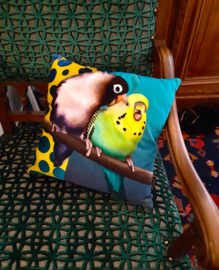 Personalized Throw pillow SPIFFY & AGGY