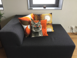 Fodera cuscino velluto gatto Grigio-Narancione CALICO