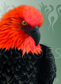 ÁGUILA DE FUEGO XL