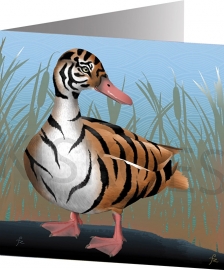 PATO TIGRE