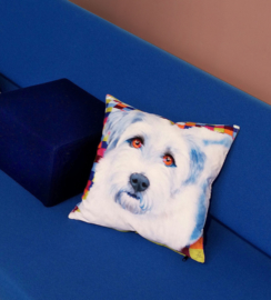 Housse coussin velours Bleue-blanche Chien FRANKIE