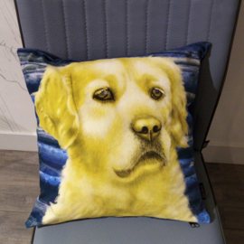 Housse coussin velours Jaune-bleue  Chien BOUCLE D'OR