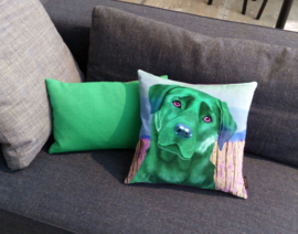 Dog throw pillow ESMERALDA green-pink velvet pillow cas