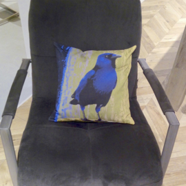 Bird cushion cover cotton or velvet BLUE-BELLIED CROW