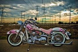 Pink (Tattoo-Style) Playing Cards - Harley-Davidson