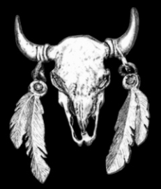 P130 - Large PIN - Buffalo Skull With Feathers