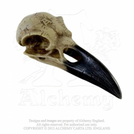 Alchemy England - Larger than life Raven Skull - Corvus Alchemica