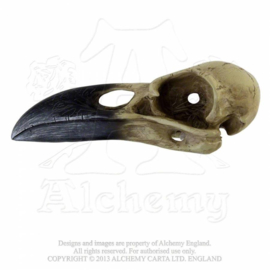 Alchemy England - Larger than life Raven Skull - Corvus Alchemica