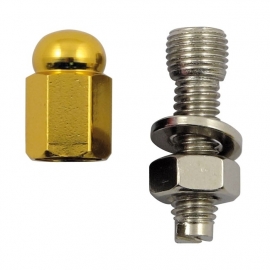 TrikTopz with License Plate Mounts - Valve Caps - Golden Alloy Hex Domed