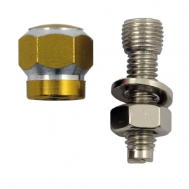 TrikTopz with License Plate Mounts - Valve Caps - Golden Alloy Twotone Hex