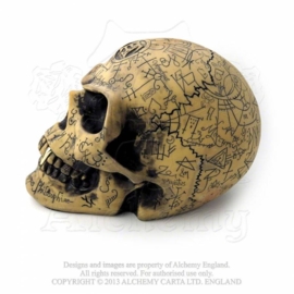 Alchemy England - Life-sized Omega Skull