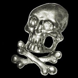 P138 - PIN - 3D - Skull and Bones