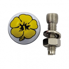 TrikTopz with License Plate Mounts - Valve Caps - Yellow Flowers