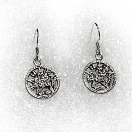 Anarchy earrings [SILVER]