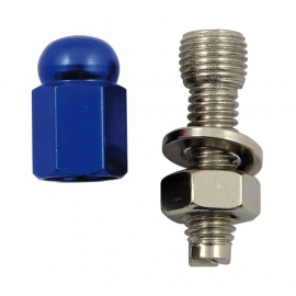 TrikTopz with License Plate Mounts - Valve Caps - Blue Alloy Hex Domed