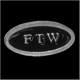 P243 - PIN - Metal Badge - FTW