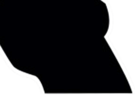 Vissticker Visser Zwart Silhouet  7 x 7 cm Contour Gesneden Vis Sticker Vrijstaand Vissen Auto