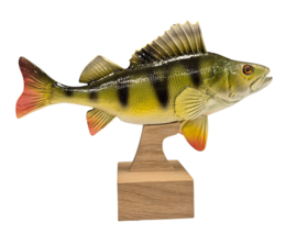 3D Real Fish Trophy Baars 28 cm Levensecht Beeld Baarsbeeld
