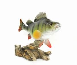3D Real Fish Trophy Baars 30 cm Levensecht Beeld Baarsbeeld