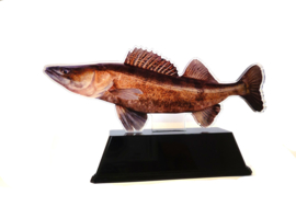 Vistrofee Real Fish – Snoekbaars 17 cm