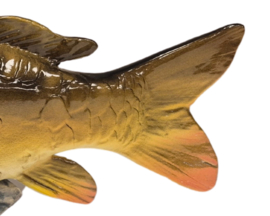 3D Real Fish Trophy Carp 26 cm Levensecht Karperbeeld Beeld Karper Trofee Prijs Karperwedstrijd Vis