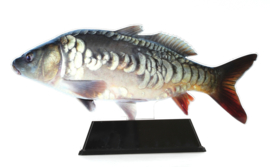 Vistrofee Real Fish – Spiegelkarper 20 cm
