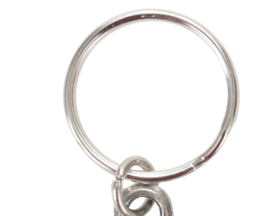 Vis Sleutelhanger Snoek Sleutelhangers Snoeken Snoekvissen Vissen Snoeken Pike Fishing Keyring