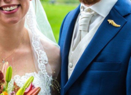 Visspeld Meerval Verguld Vis Speld Goud Vissen Broche Sierspeld Revers Kraag Das Hoedenspeld Sjaal