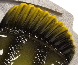 Luxe XL Baars Trofee 3D Reliëf 32 cm Natural Color Perch Visbeeld Grote Trofee Baarstrofee Wedstrijd