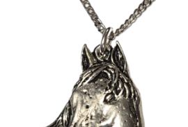Hanger Paard Paardenhoofd + Ketting Zilver 45 cm (Dames) Paardenhanger Halsketting Zilver Paarden