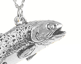 Hanger Forel + Ketting Zilver 50 cm (Heren)