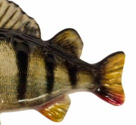 Gekleurde Vis Sleutelhanger Natural Baars Keyring Perch Viscadeautje Cadeau Vissen Streetfishing