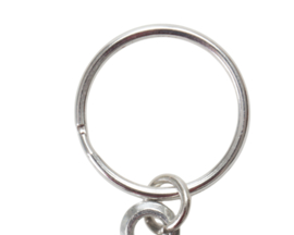 Vis Sleutelhanger Spiegelkarper Spiegel Karper Sleutelhangers Vissen Karpers Carp Fishing Keyring