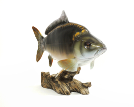 3D Real Fish Trophy Carp 41 cm Levensecht Karperbeeld Beeld Karper