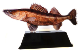 Vistrofee Real Fish – Snoekbaars 23 cm