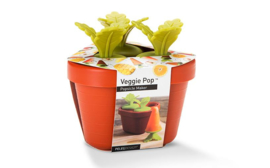 Veggie Pop IJslollyvorm Groente Fruit IJsje
