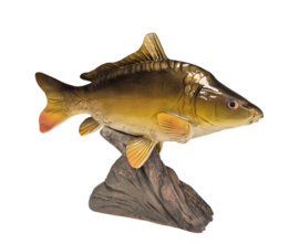 3D Real Fish Trophy Carp 26 cm Levensecht Karperbeeld Beeld Karper Trofee Prijs Karperwedstrijd Vis