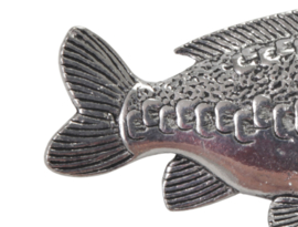 Visspeld Spiegelkarper Speldje Karpervissen VisSpiegel Karper Vissen Speld Karpervisser Mirror Carp