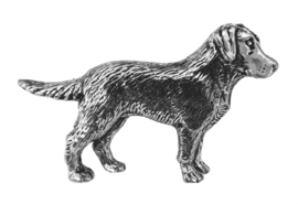 Speldje Labrador