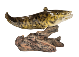 3D Real Fish Trophy Meerval 30 cm Levensecht Beeld Meervalbeeld Trofee Visbeker Sokkel Natuurlijk